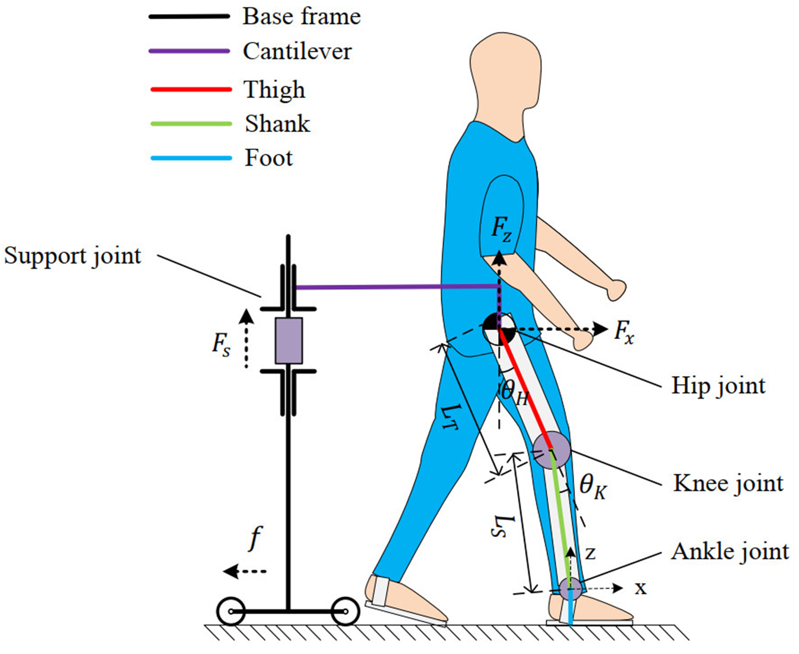 Coordinated energy-efficient walking assistance for paraplegic patients by using the exoskeleton-walker system