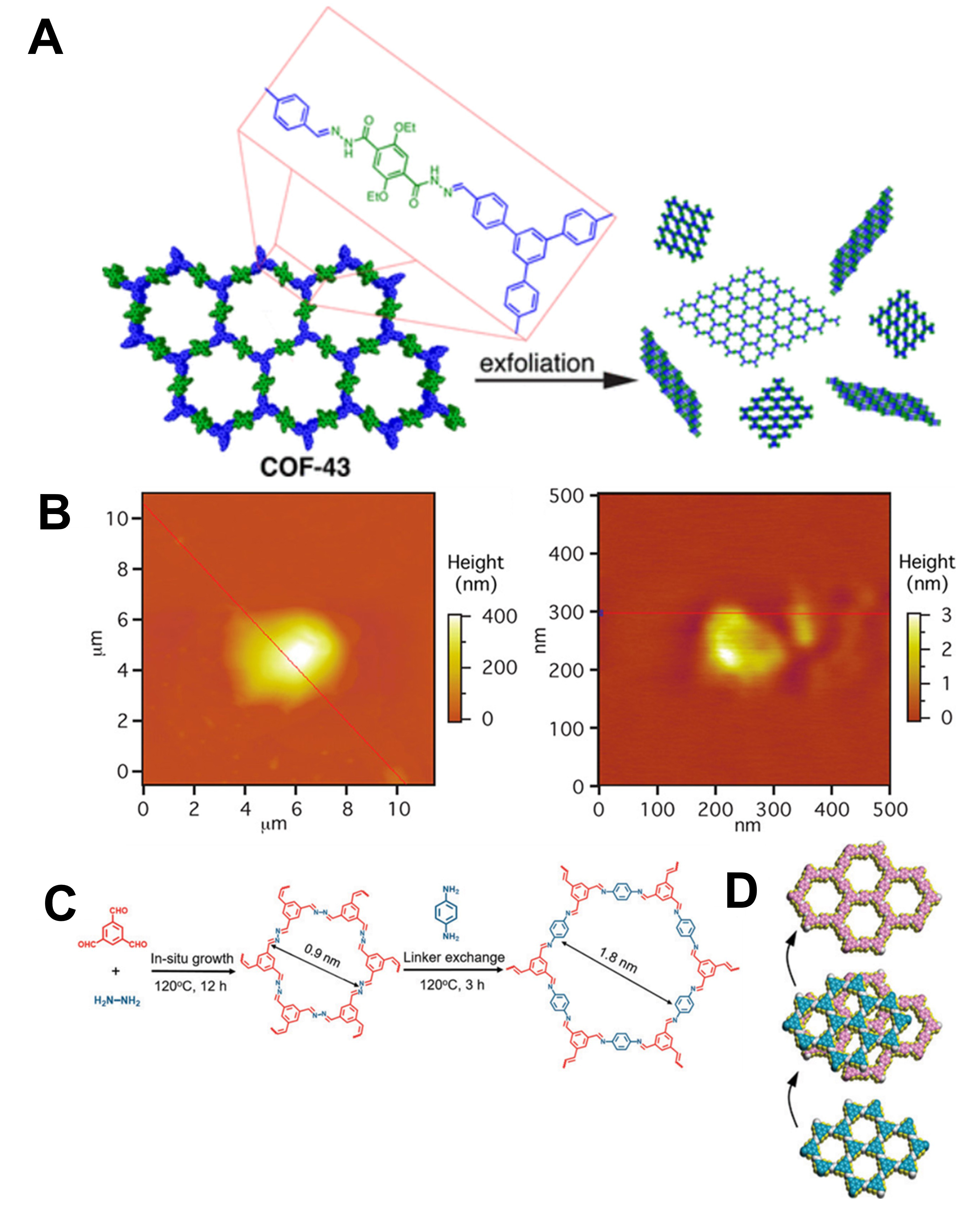 Advancements in two-dimensional covalent organic framework nanosheets for electrocatalytic energy conversion: current and future prospects