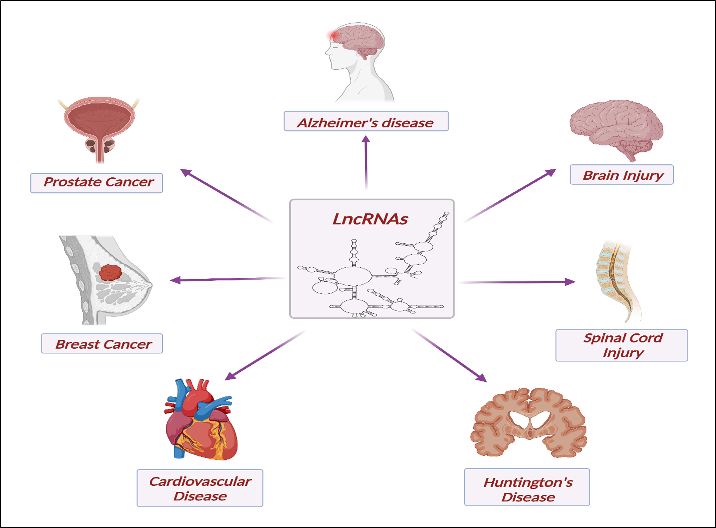 Silent players, loud impact: unveiling the therapeutic potentials of LncRNAs