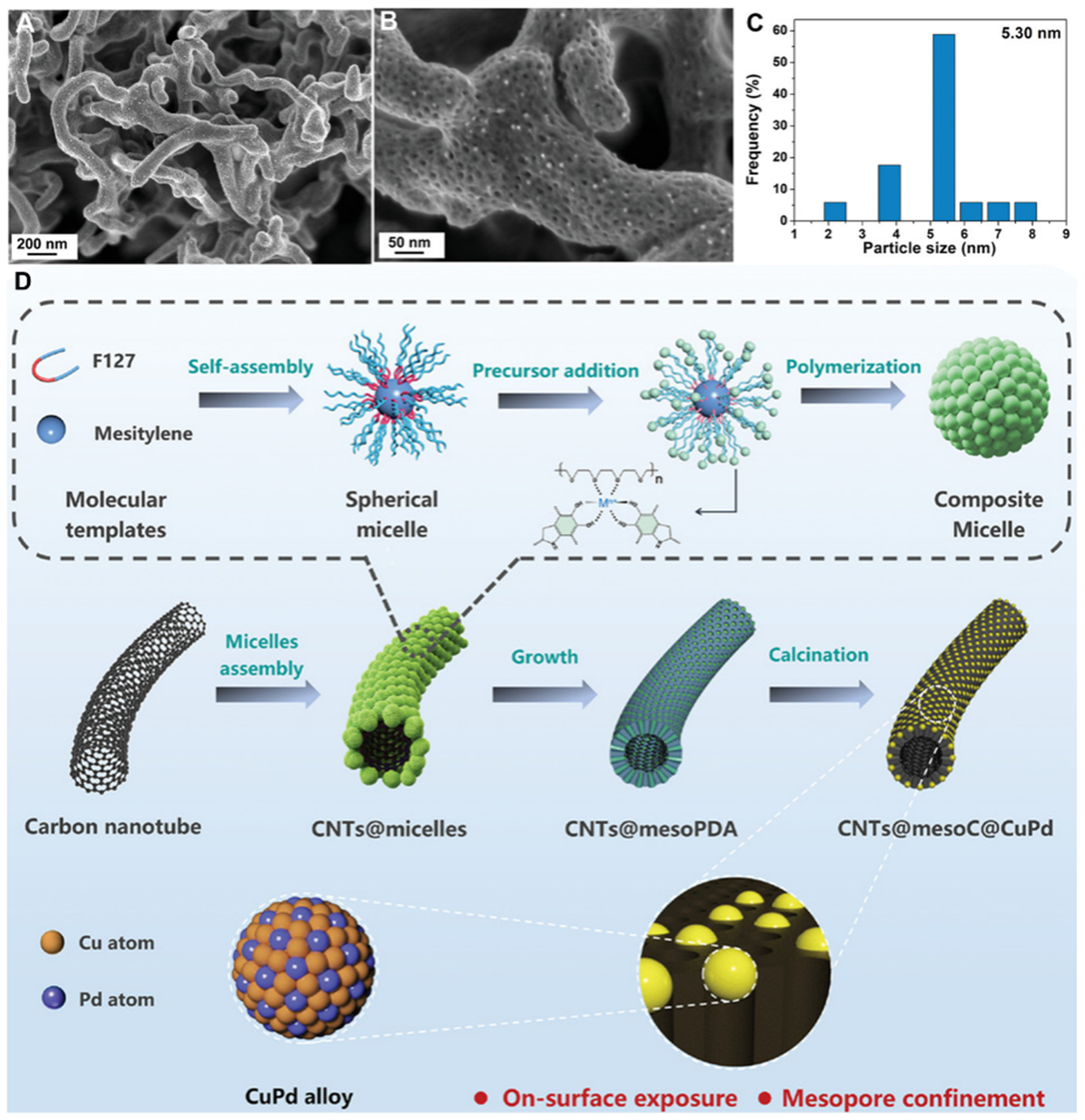 Engineering architectures of mesoporous polydopamine and derived carbon: from soft template synthesis to energy applications