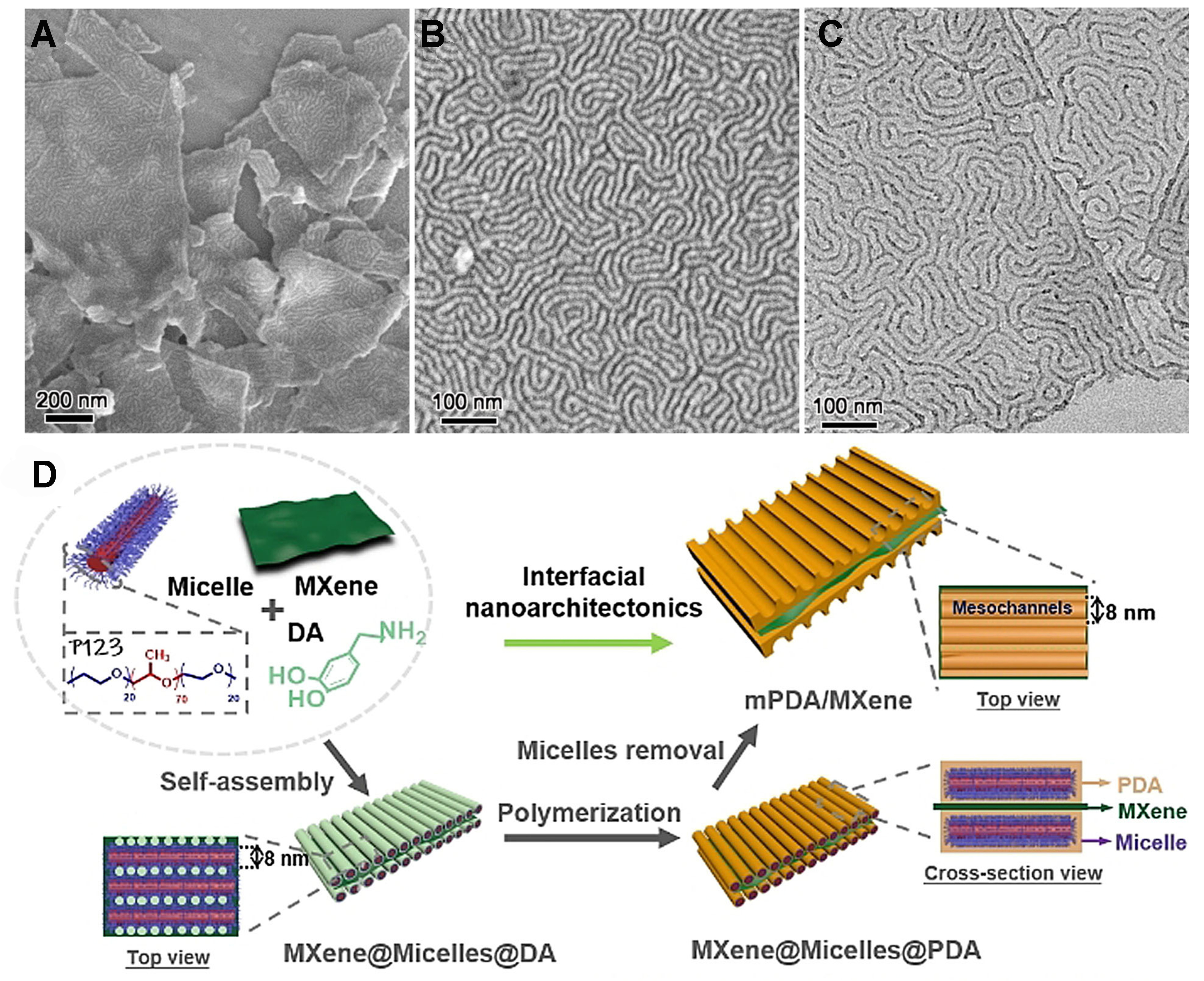 Engineering architectures of mesoporous polydopamine and derived carbon: from soft template synthesis to energy applications