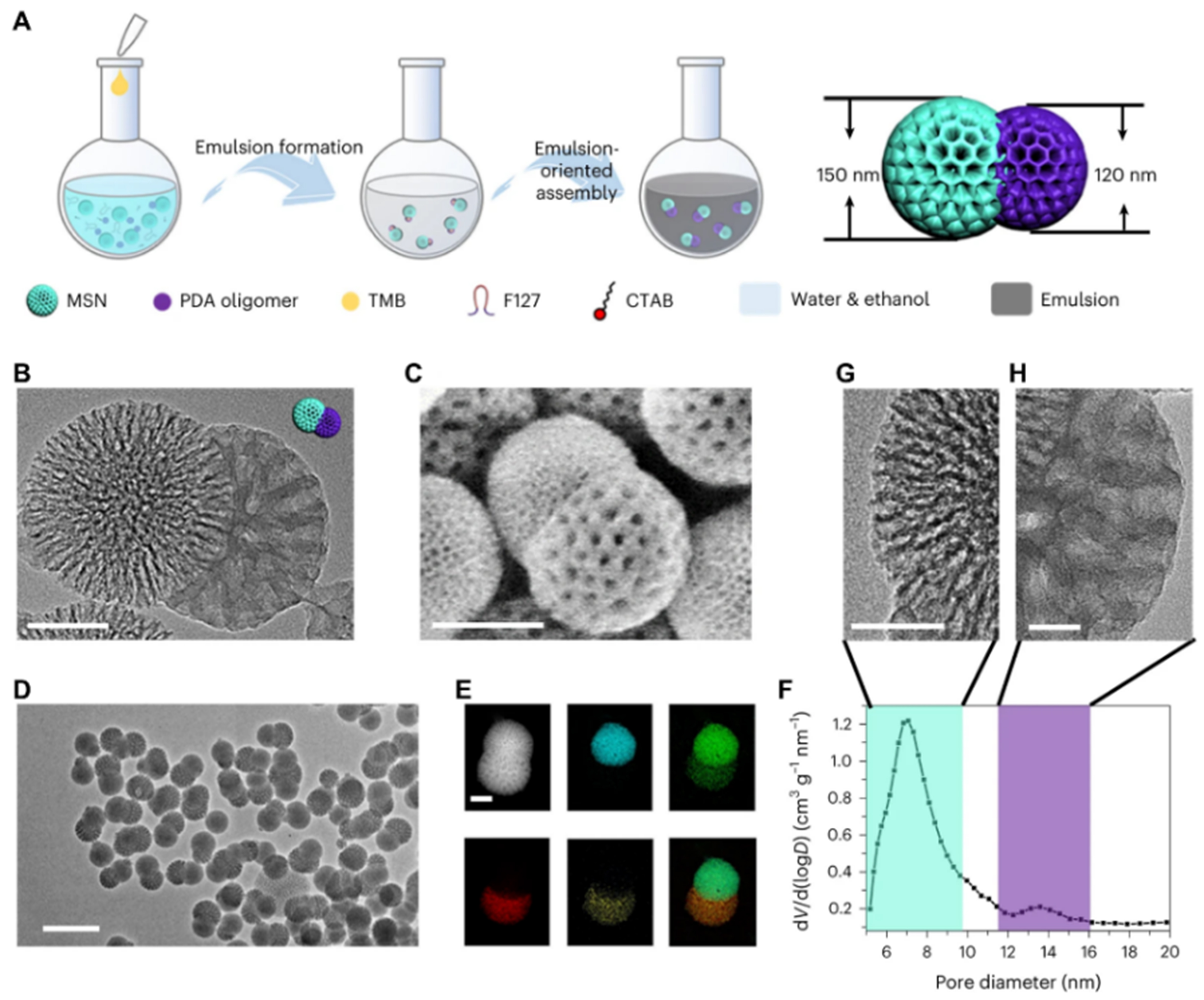 Engineering architectures of mesoporous polydopamine and derived carbon: from soft template synthesis to energy applications