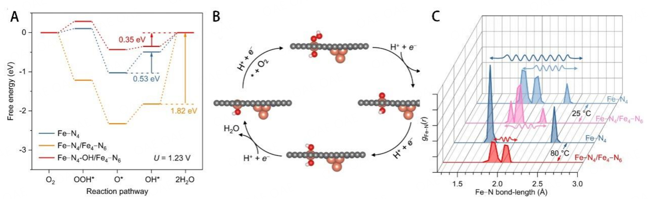 Metal-nitrogen-carbon catalysts towards acidic ORR in PEMFC: fundamentals, durability challenges, and improvement strategies