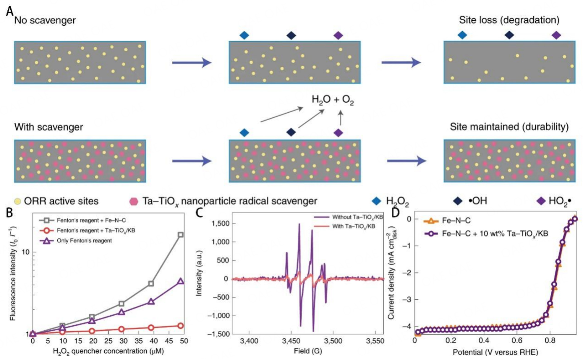 Metal-nitrogen-carbon catalysts towards acidic ORR in PEMFC: fundamentals, durability challenges, and improvement strategies