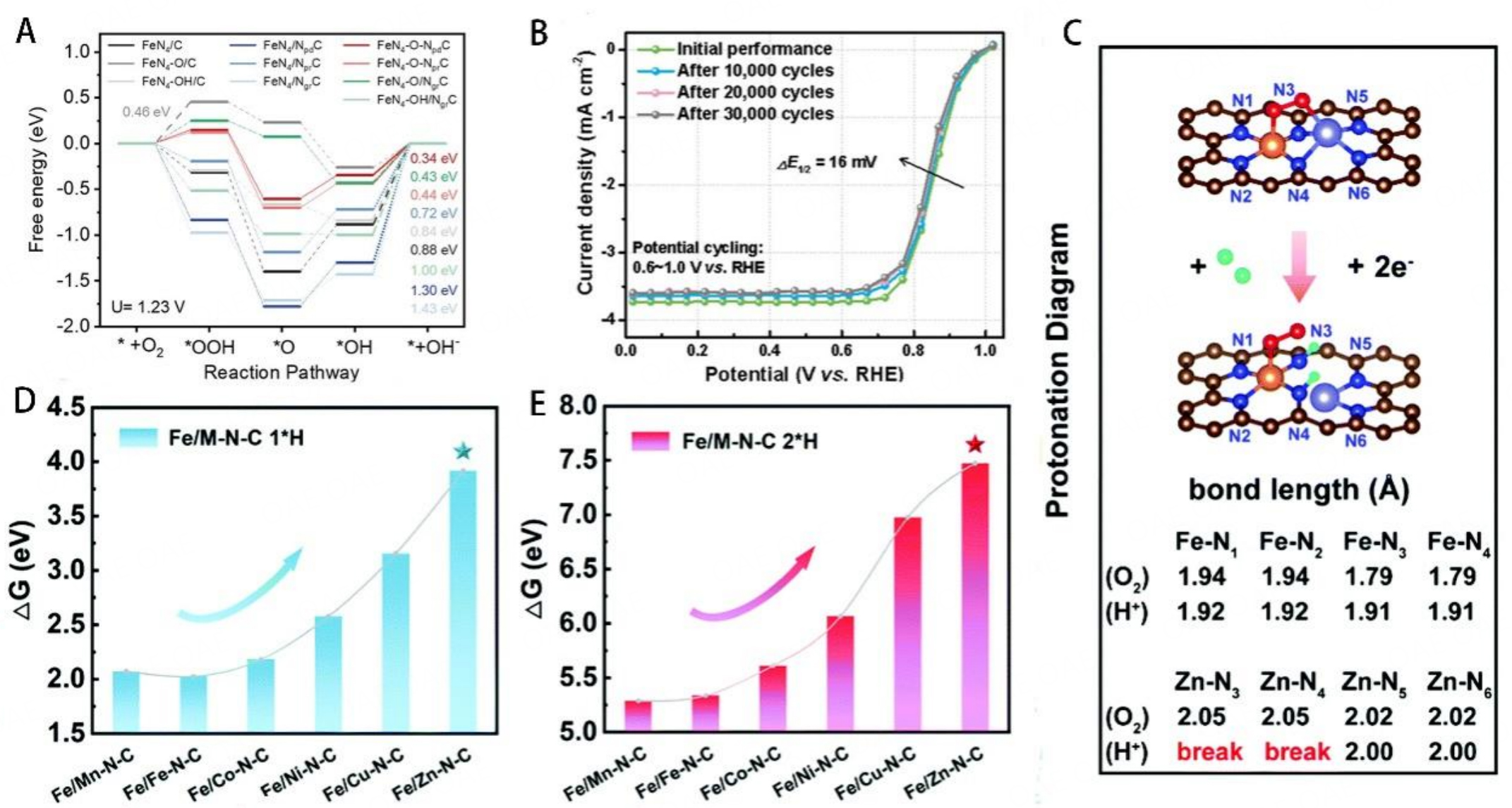 Metal-nitrogen-carbon catalysts towards acidic ORR in PEMFC: fundamentals, durability challenges, and improvement strategies