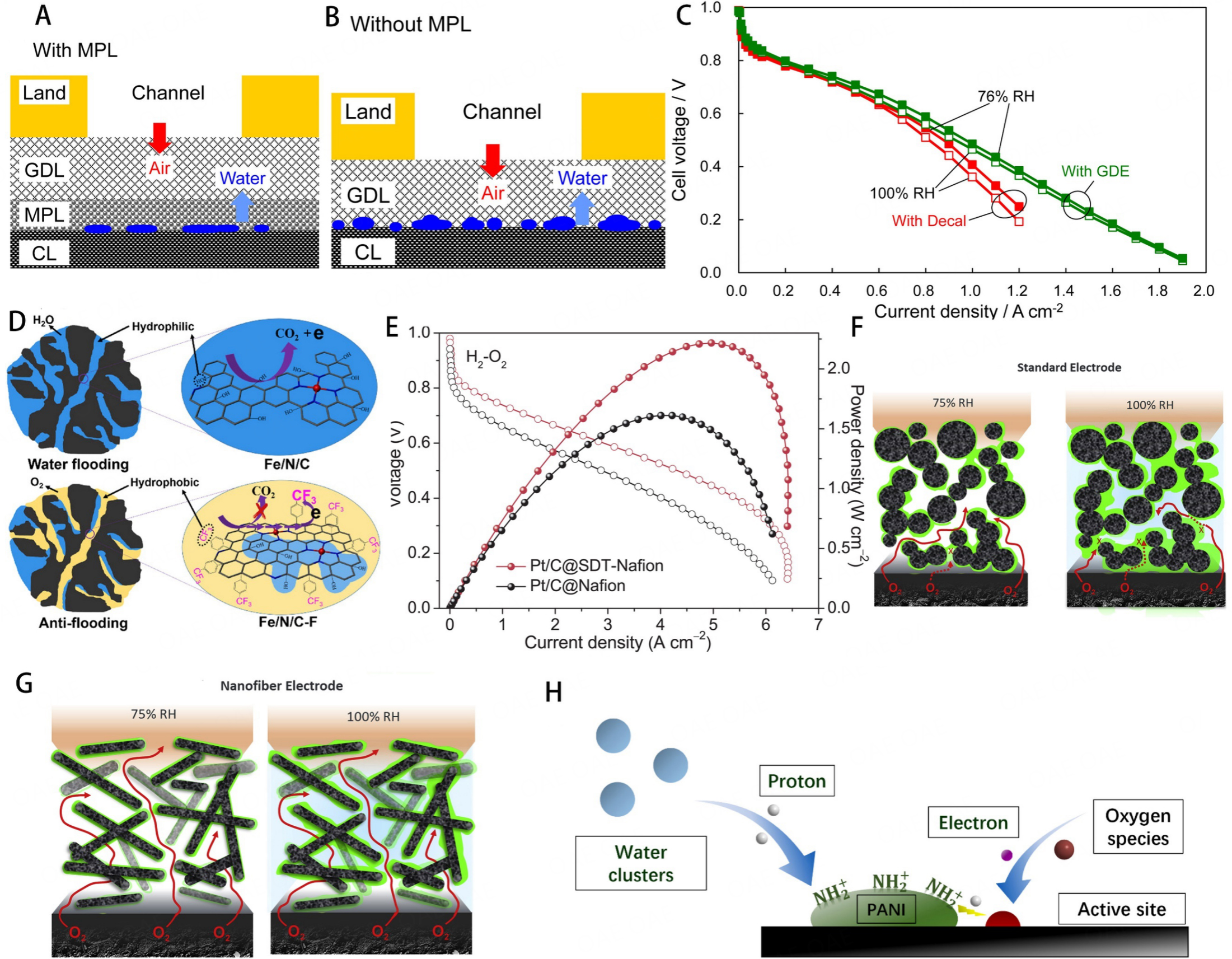 Metal-nitrogen-carbon catalysts towards acidic ORR in PEMFC: fundamentals, durability challenges, and improvement strategies