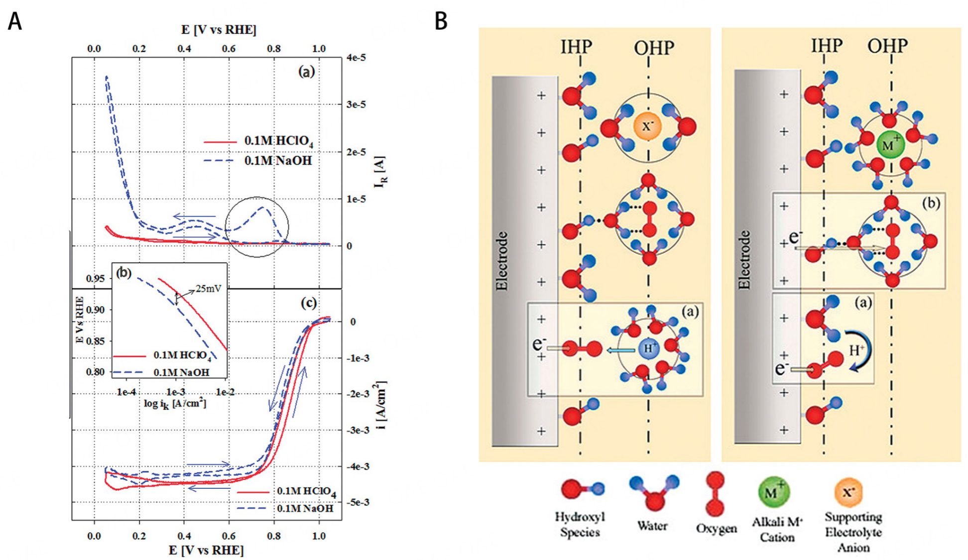 Metal-nitrogen-carbon catalysts towards acidic ORR in PEMFC: fundamentals, durability challenges, and improvement strategies
