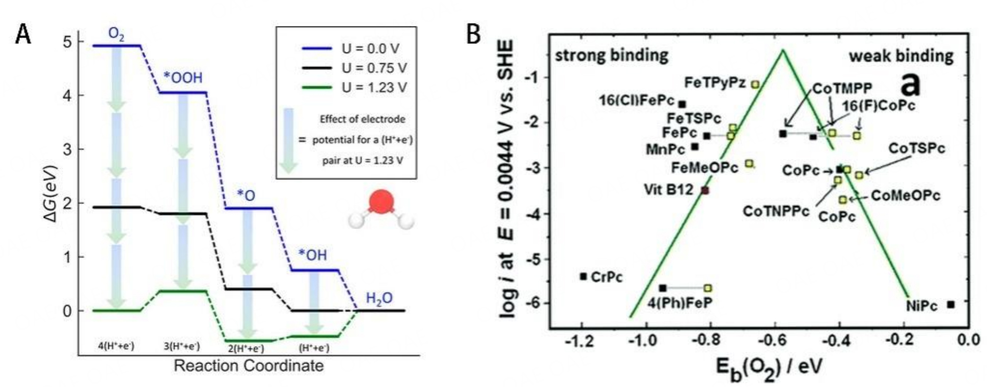 Metal-nitrogen-carbon catalysts towards acidic ORR in PEMFC: fundamentals, durability challenges, and improvement strategies