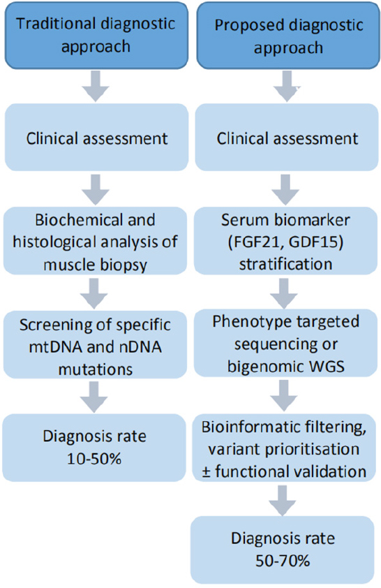 New diagnostic pathways for mitochondrial disease