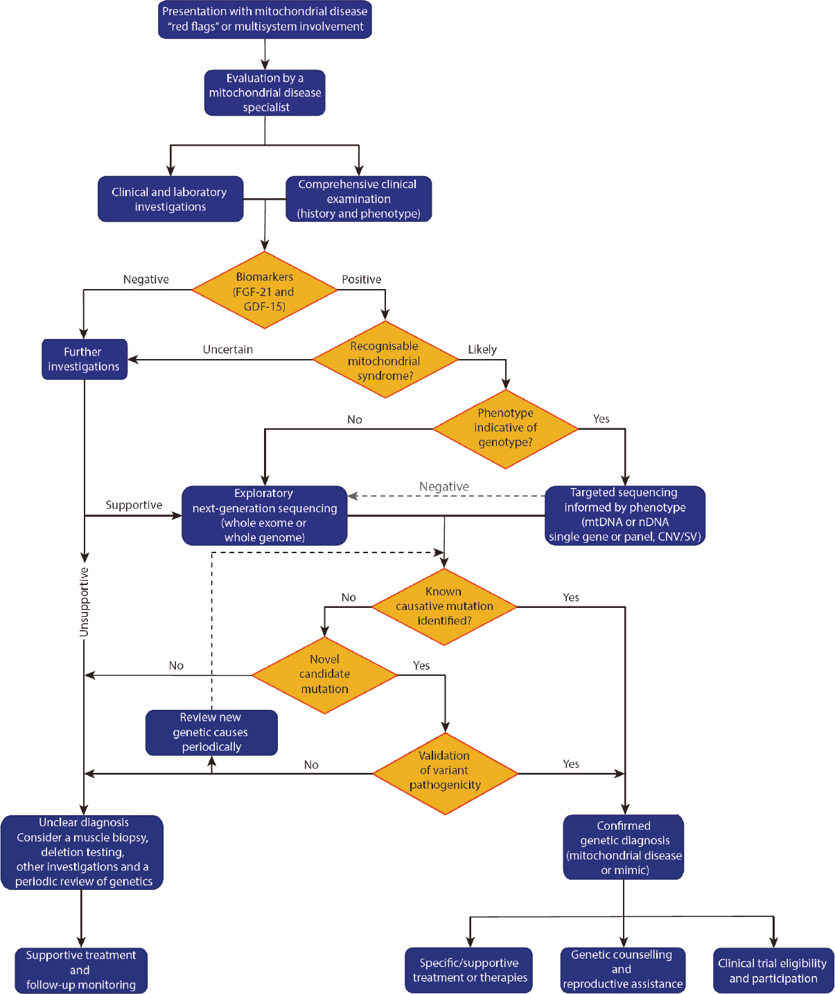 New diagnostic pathways for mitochondrial disease