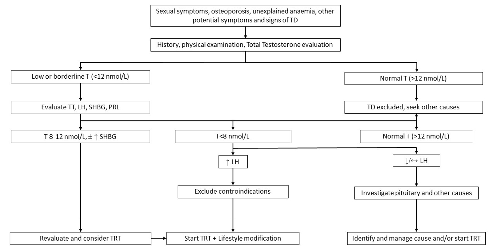 New antidiabetic drugs' role in the management of testosterone deficiency and of the cardiovascular disease in hypogonadal diabetic men