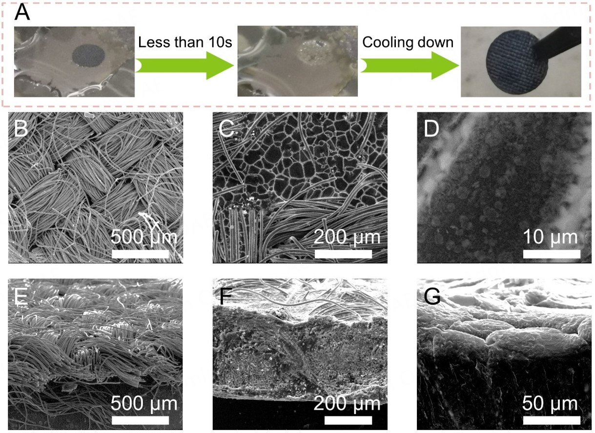 Porous array of BaLi<sub>4</sub> alloy microchannels enforced carbon cloth for a stable Li composite anode