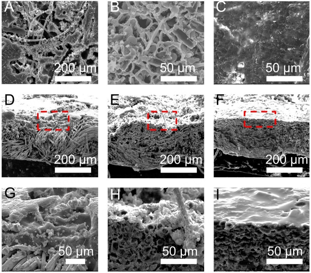 Porous array of BaLi<sub>4</sub> alloy microchannels enforced carbon cloth for a stable Li composite anode