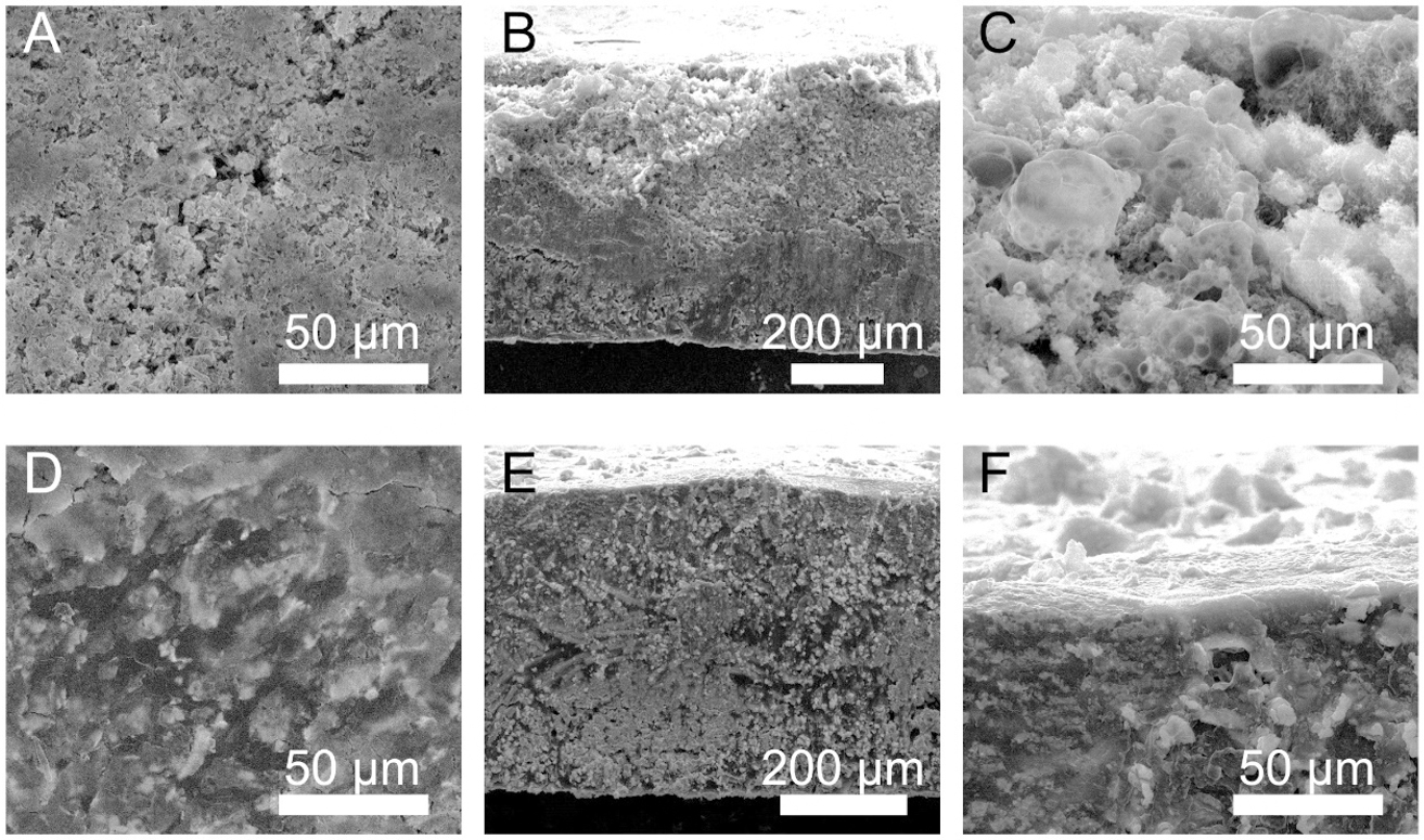 Porous array of BaLi<sub>4</sub> alloy microchannels enforced carbon cloth for a stable Li composite anode