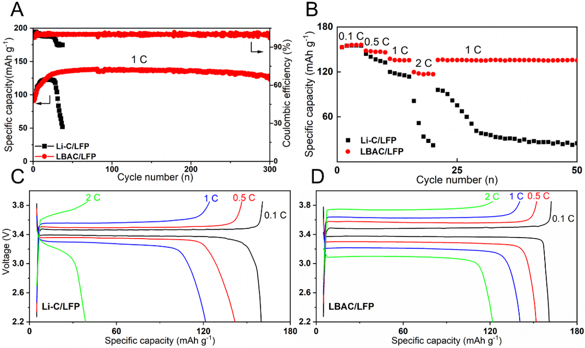Porous array of BaLi<sub>4</sub> alloy microchannels enforced carbon cloth for a stable Li composite anode