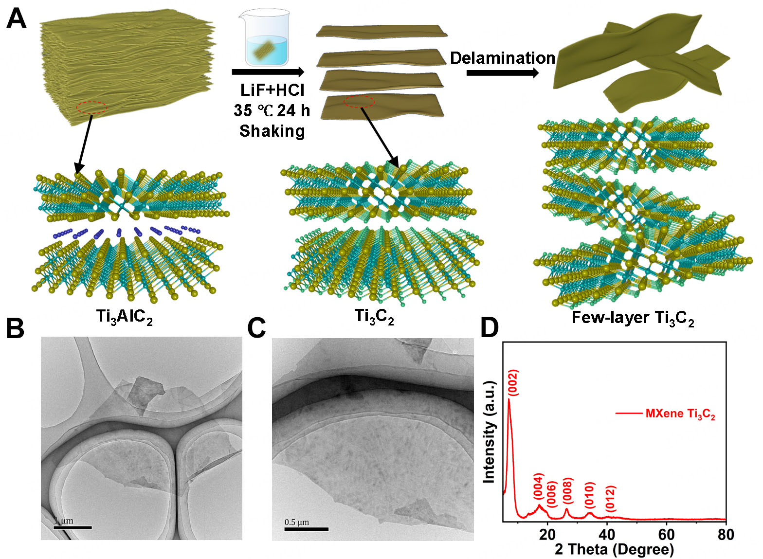 A universal Ti<sub>3</sub>C<sub>2</sub> assisted strategy facilitates hole extraction of PEDOT:PSS anode interface layer for over 19% efficiency organic photovoltaics
