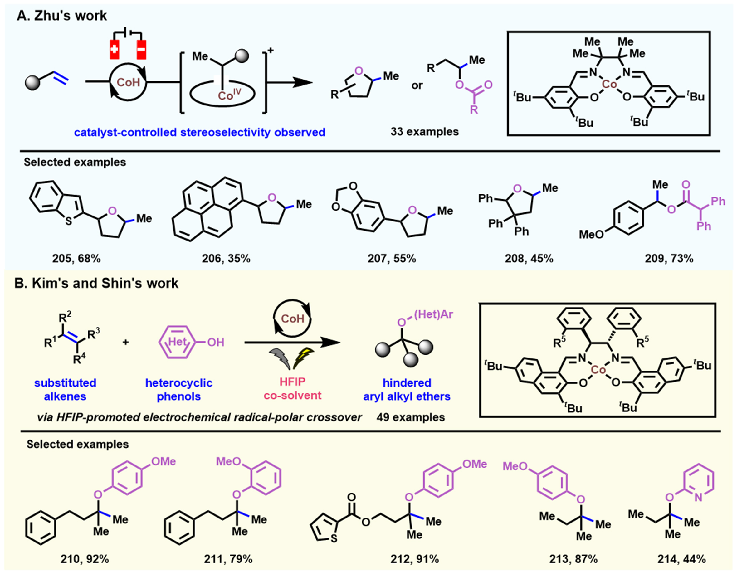 Electrochemical-induced hydrofunctionalizations of alkenes and alkynes