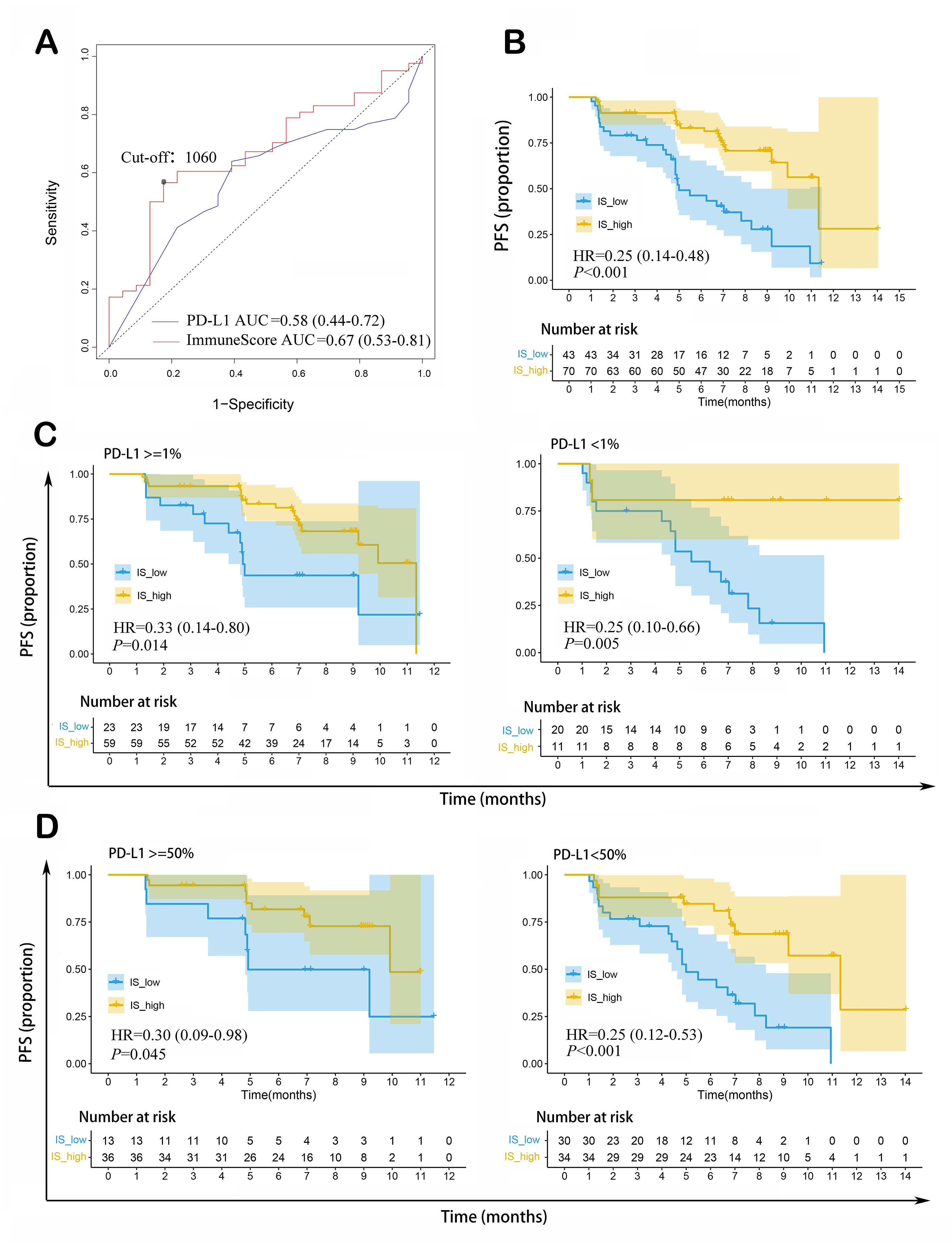 ImmuneScore as a novel RNA-based prognostic signature superior to PD-L1 in advanced non-squamous NSCLC patients receiving chemotherapy combined with immune checkpoint inhibitor therapy