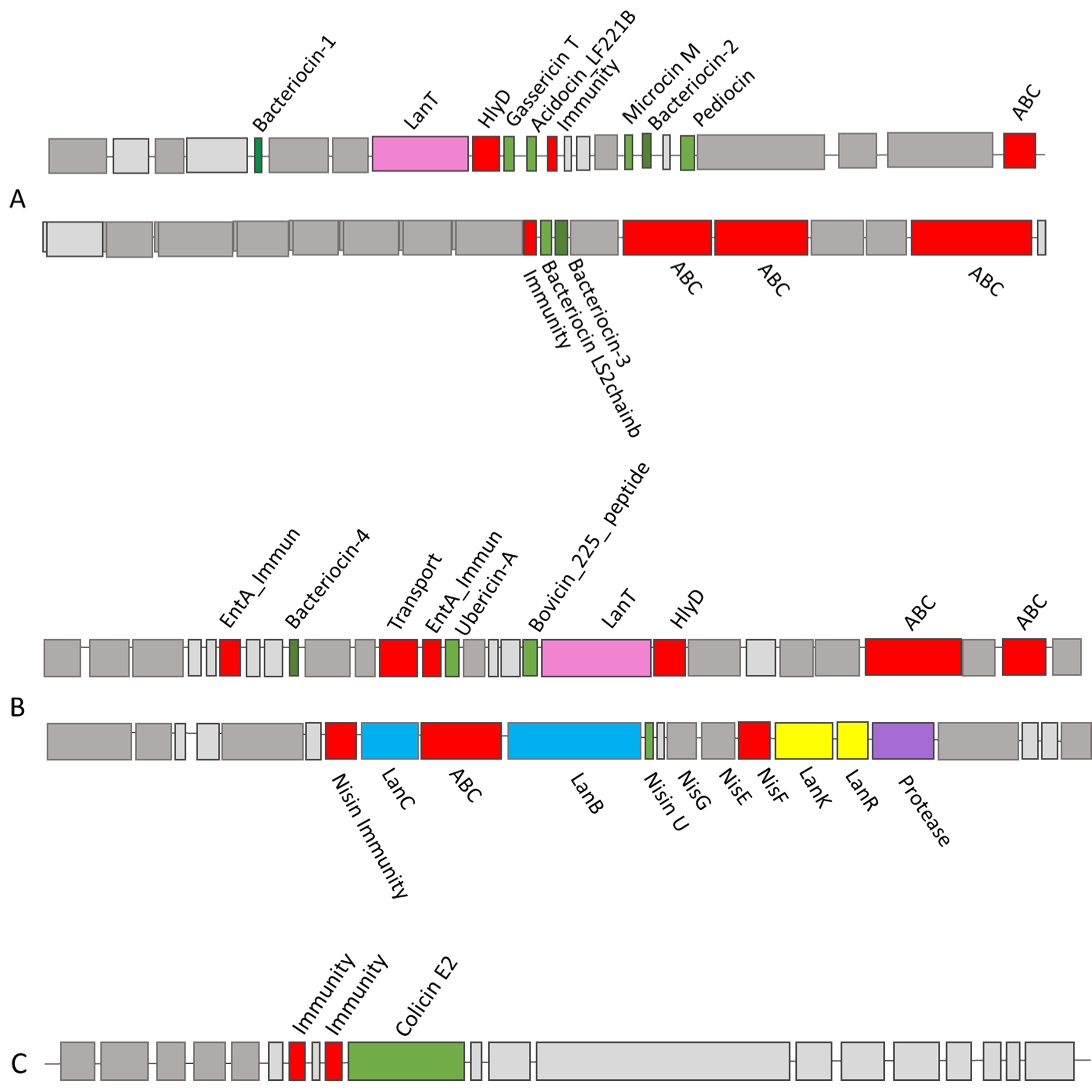 An exploratory <i>in silico</i> analysis of bacteriocin gene clusters in the urobiome
