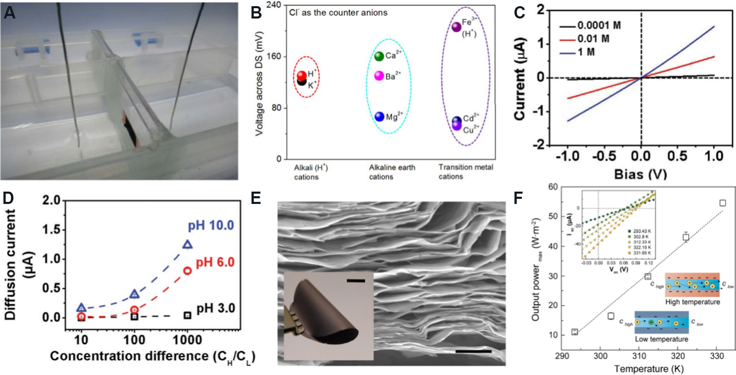 Two-dimensional nanofluidics for blue energy harvesting