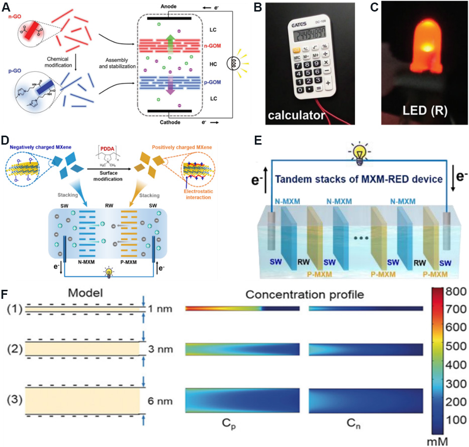 Two-dimensional nanofluidics for blue energy harvesting