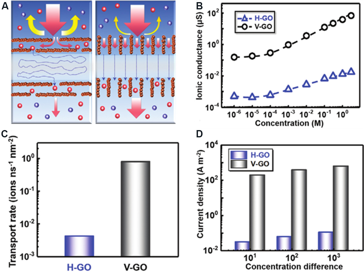 Two-dimensional nanofluidics for blue energy harvesting