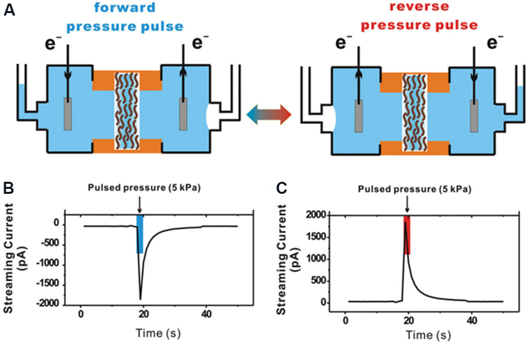 Two-dimensional nanofluidics for blue energy harvesting