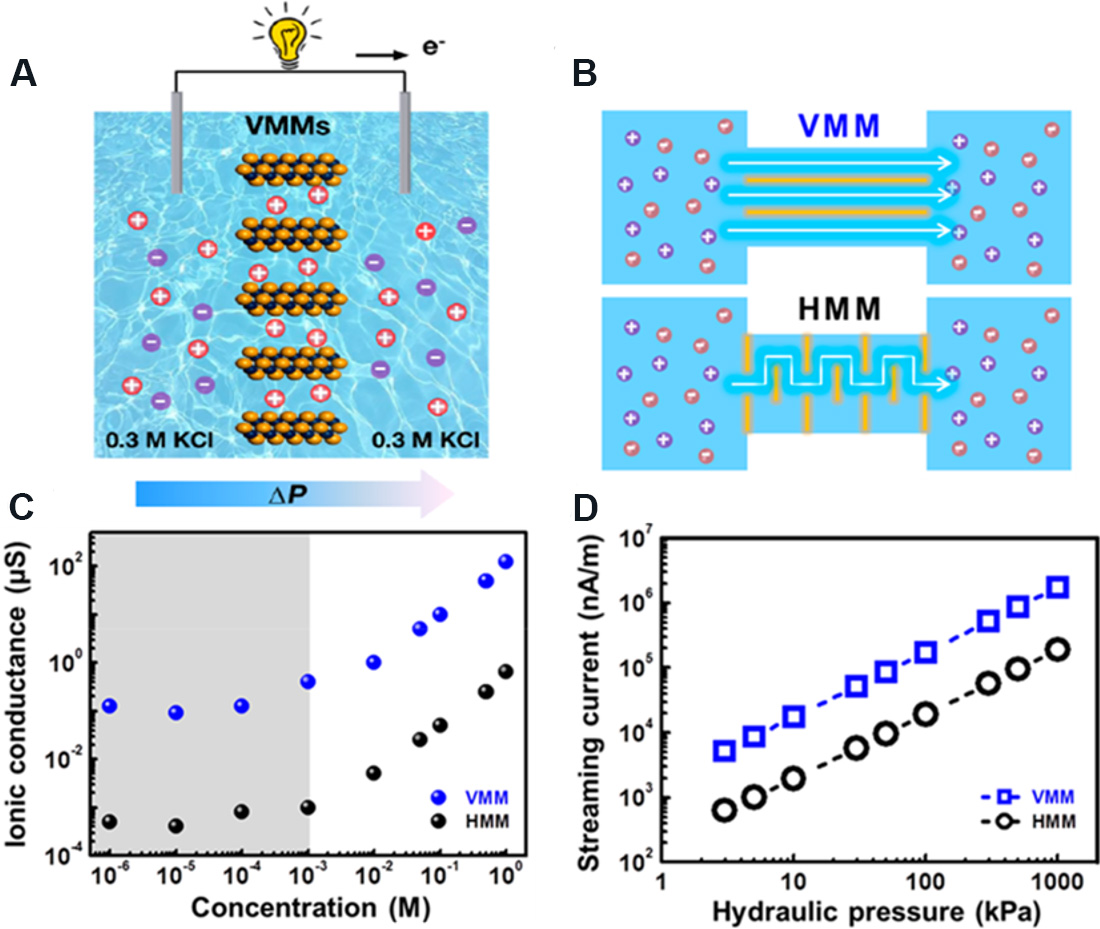Two-dimensional nanofluidics for blue energy harvesting
