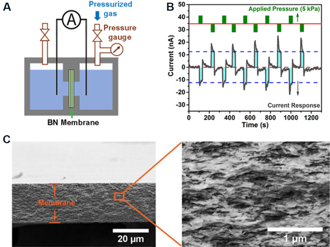 Two-dimensional nanofluidics for blue energy harvesting