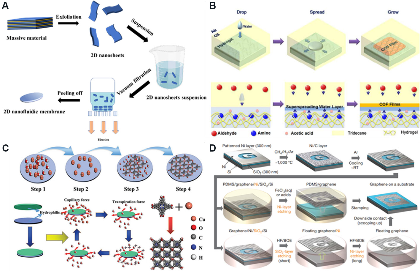 Two-dimensional nanofluidics for blue energy harvesting