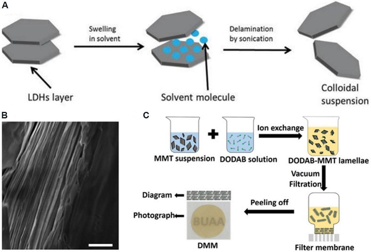 Two-dimensional nanofluidics for blue energy harvesting
