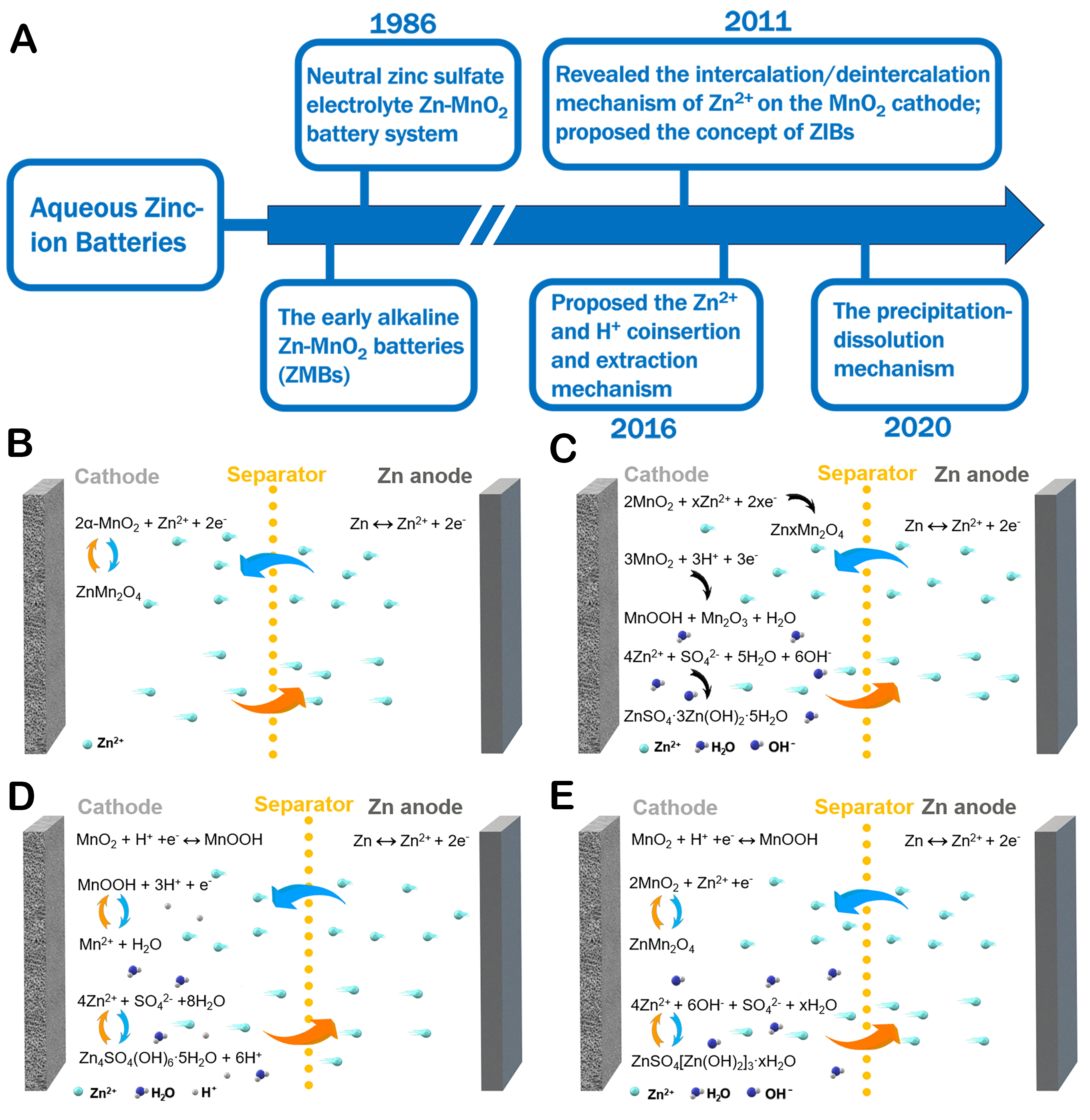 Recent development in addressing challenges and implementing strategies for manganese dioxide cathodes in aqueous zinc ion batteries