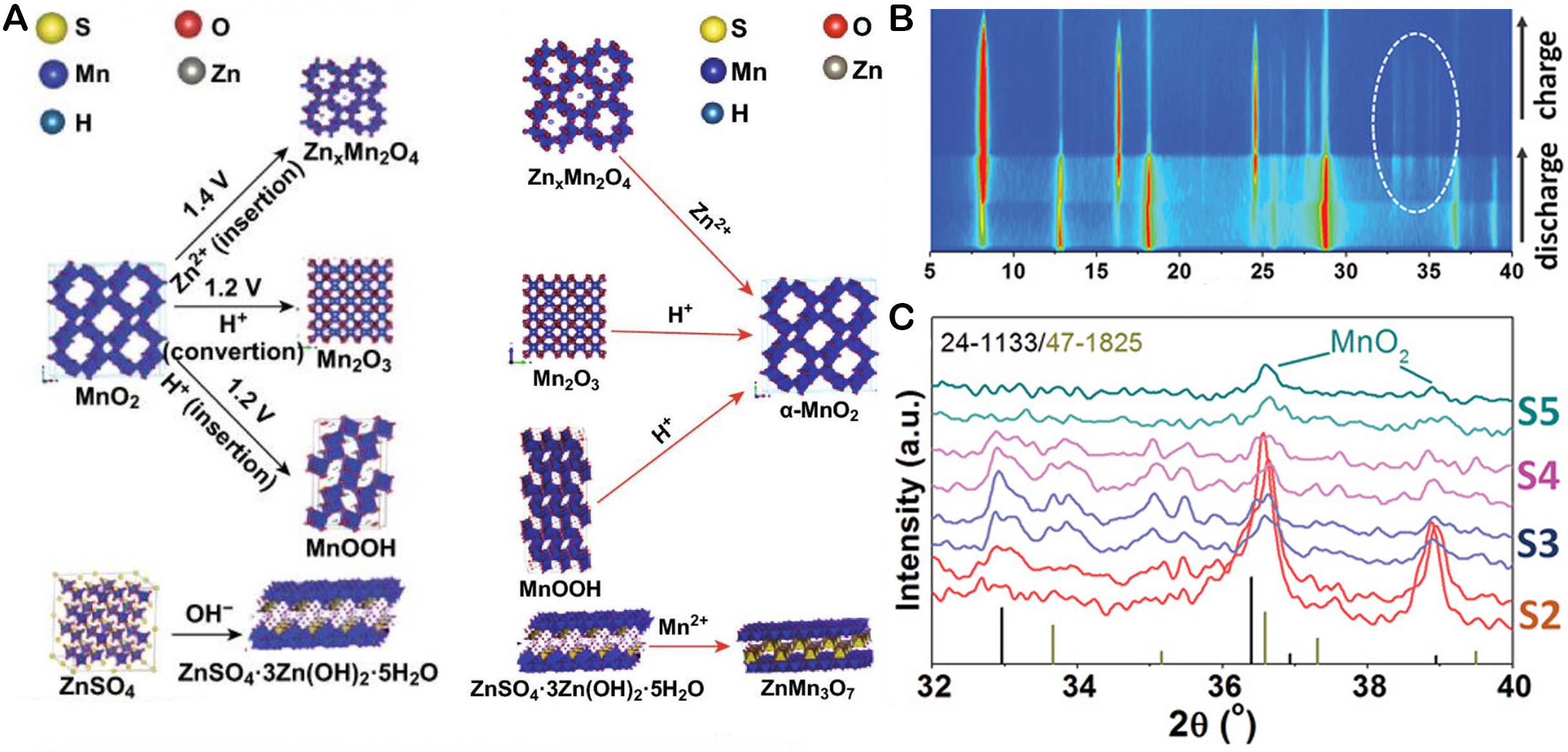 Recent development in addressing challenges and implementing strategies for manganese dioxide cathodes in aqueous zinc ion batteries