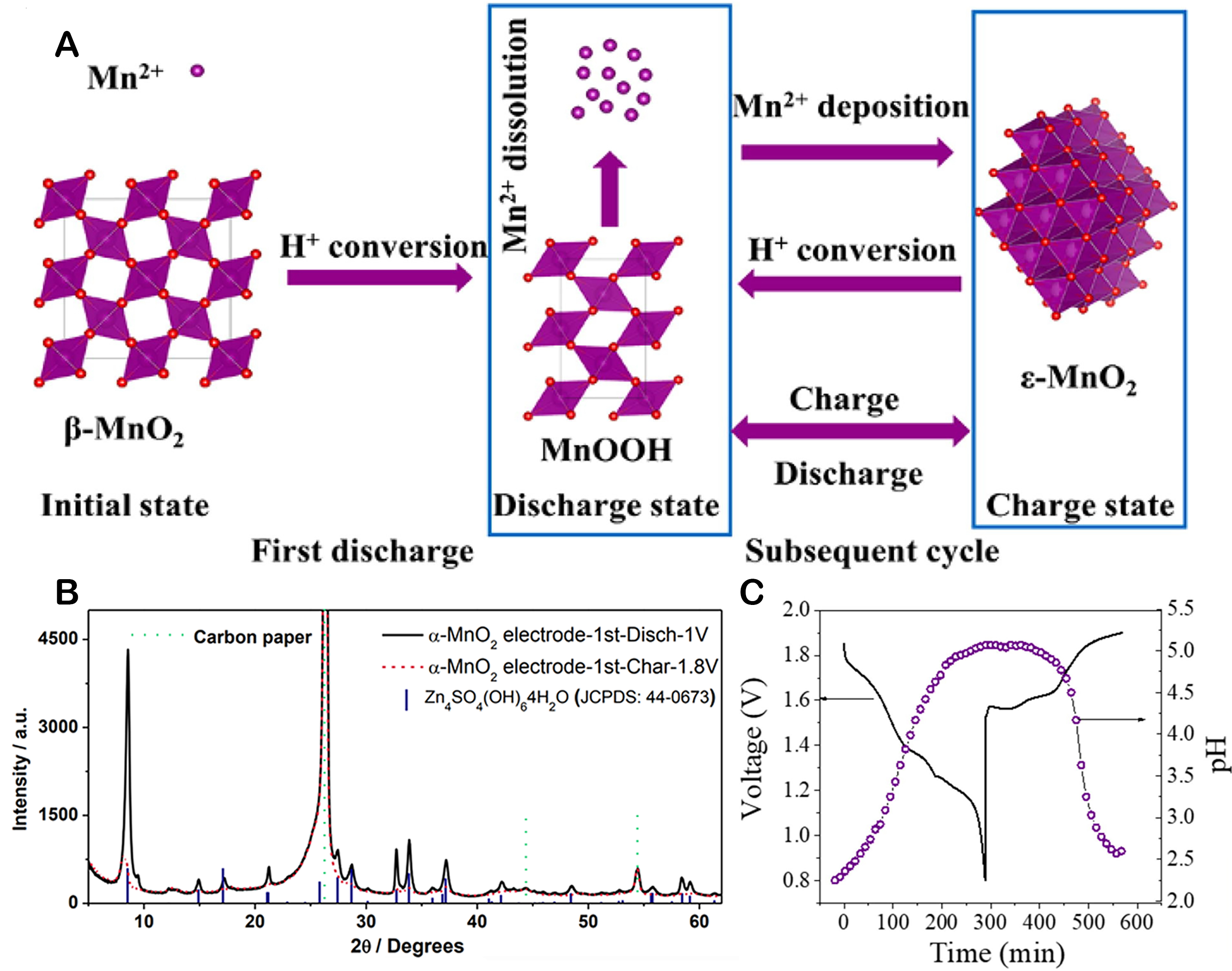 Recent development in addressing challenges and implementing strategies for manganese dioxide cathodes in aqueous zinc ion batteries
