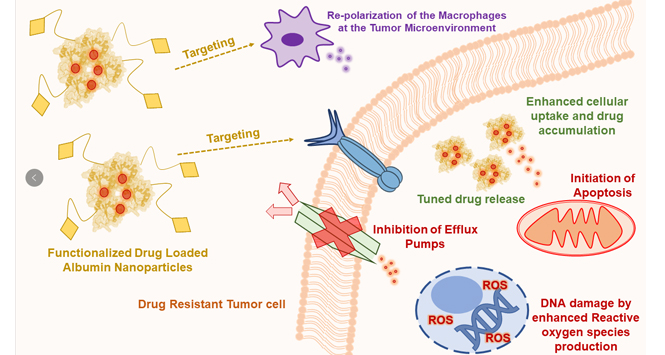Topic: Overcome Cancer Drug Resistance by Nano-carrier Drug Delivery System