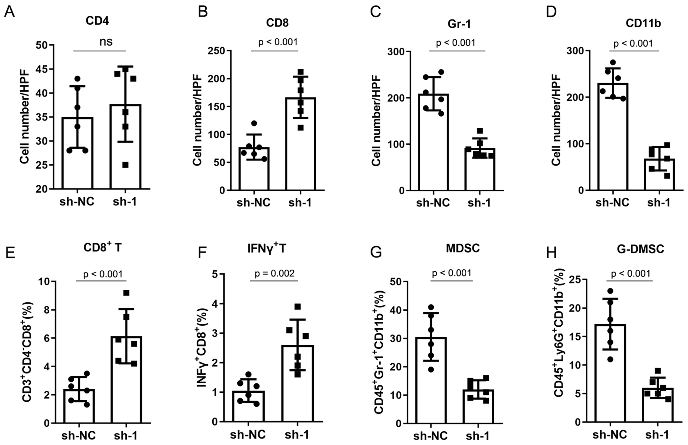 Circular RNA circNCOA3 promotes tumor progression and anti-PD-1 resistance in colorectal cancer
