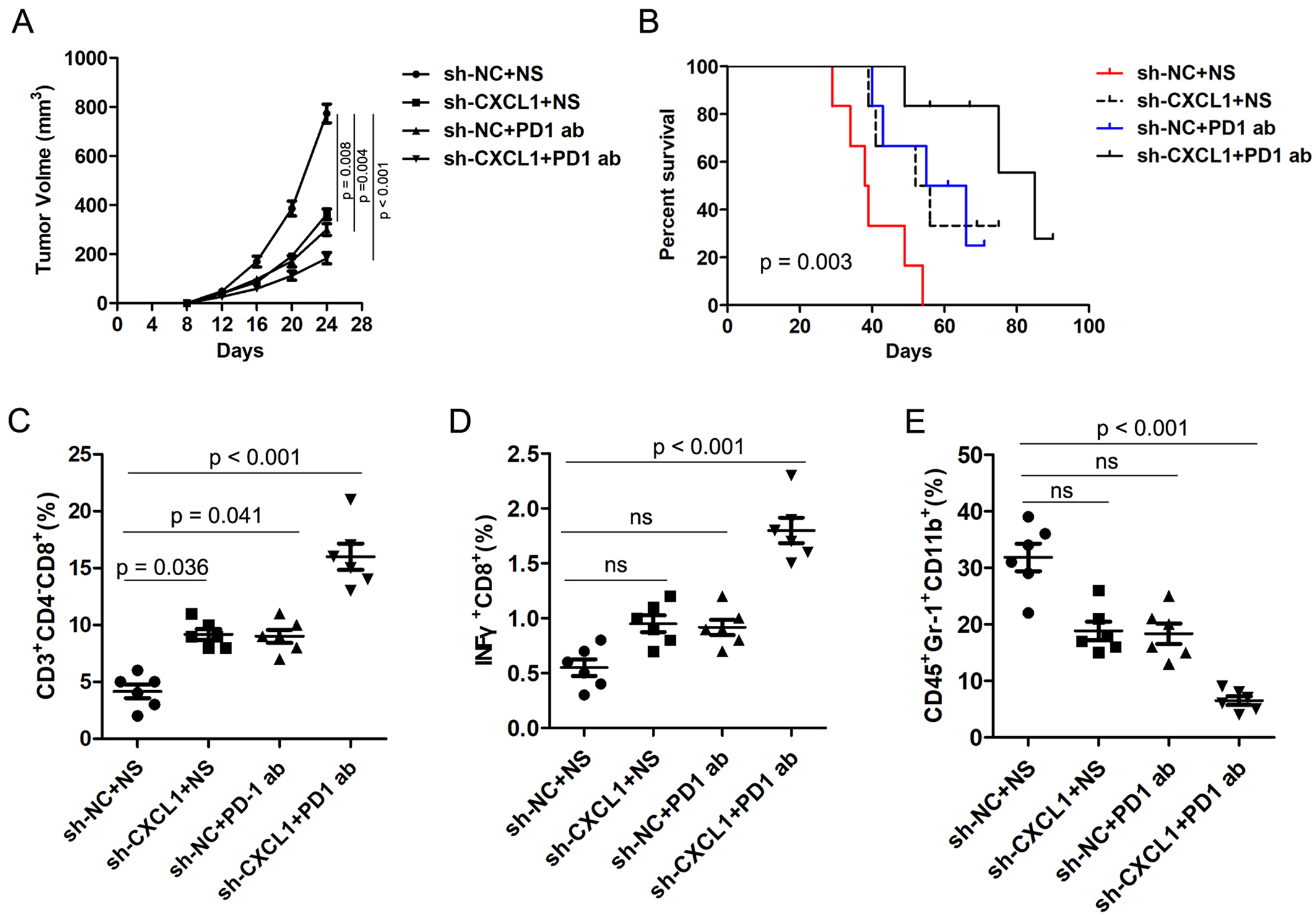 Circular RNA circNCOA3 promotes tumor progression and anti-PD-1 resistance in colorectal cancer