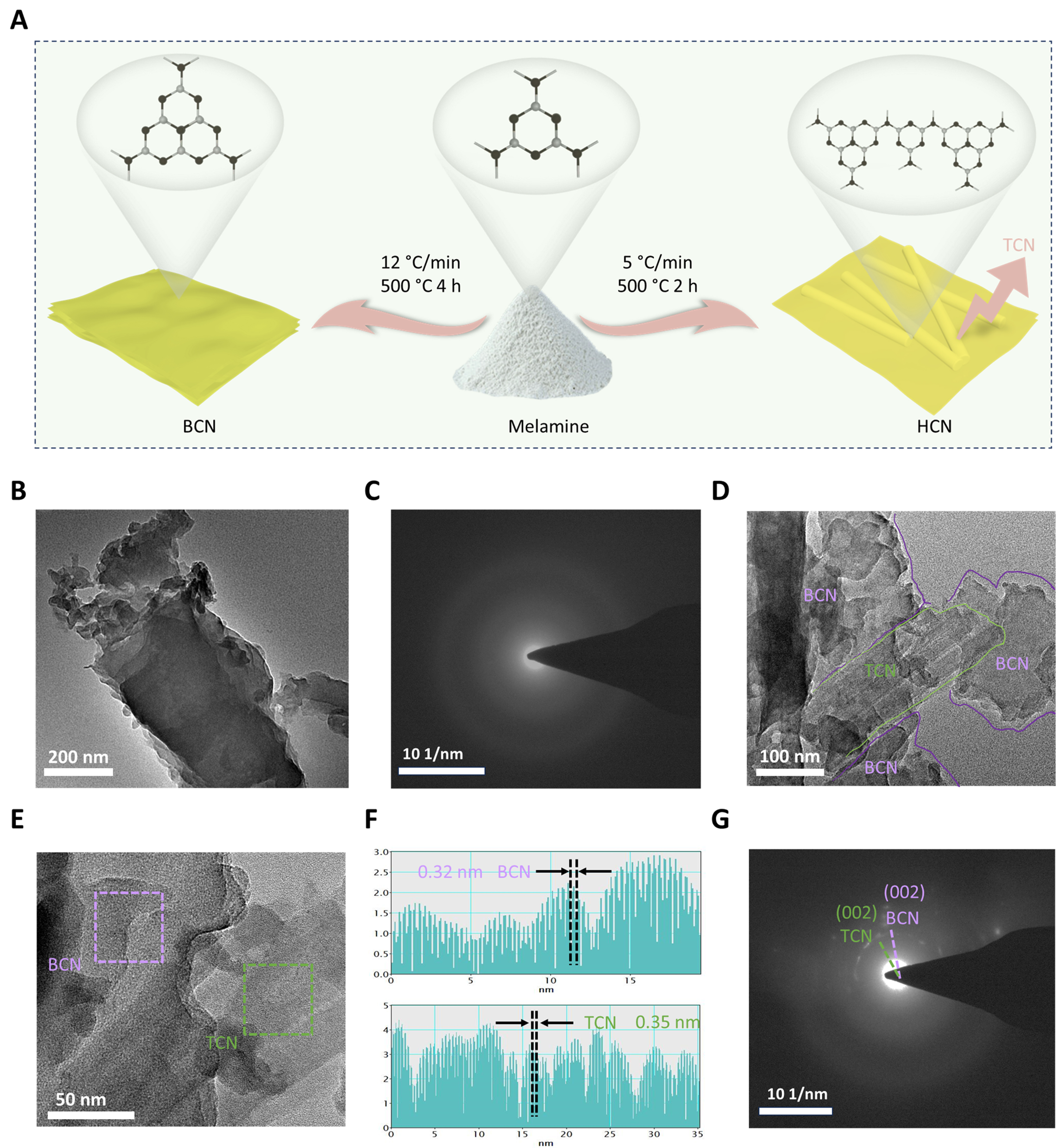 Construction of triazine/heptazine carbon nitride homojunction for photocatalytic reduction of high-concentration 4-nitrophenol
