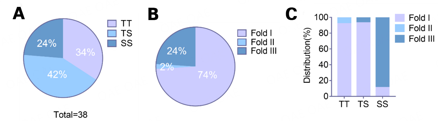 Newly identified transmembrane protein 106B amyloid fibrils in the human brain: pathogens or by-products?