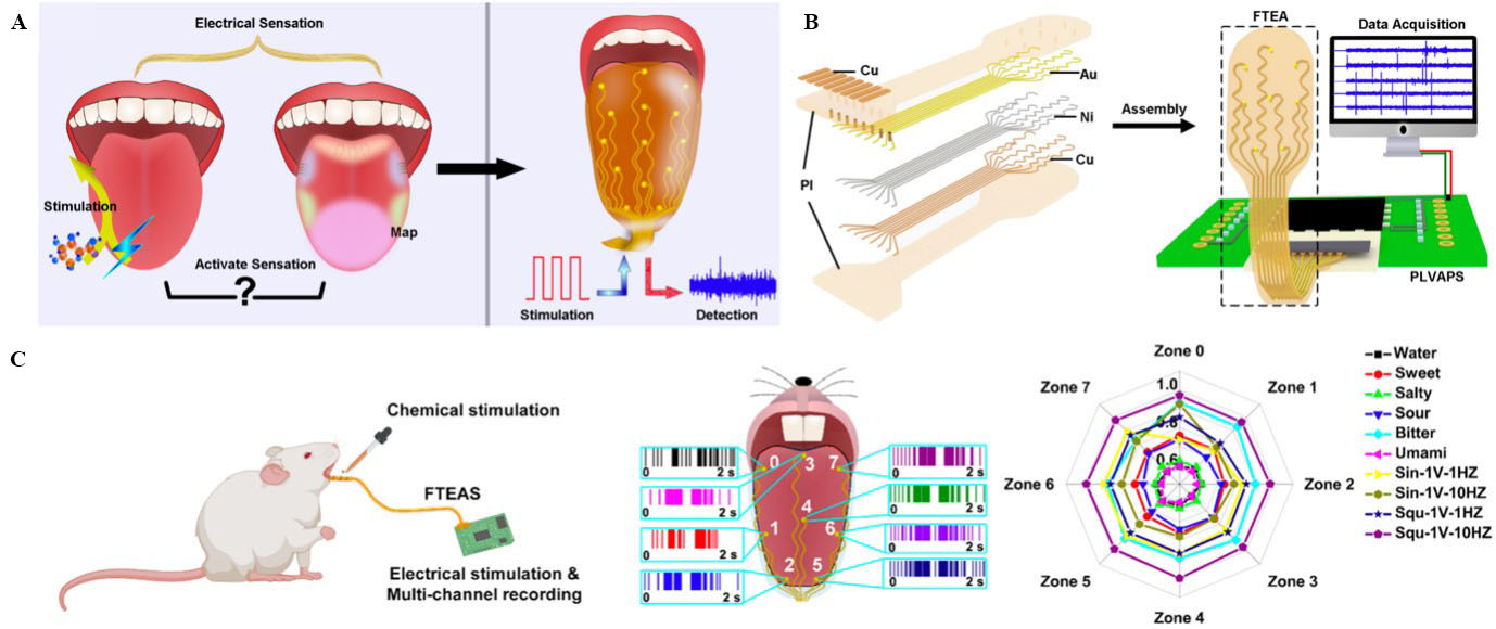 Bioreceptor-inspired soft sensor arrays: recent progress towards advancing digital healthcare