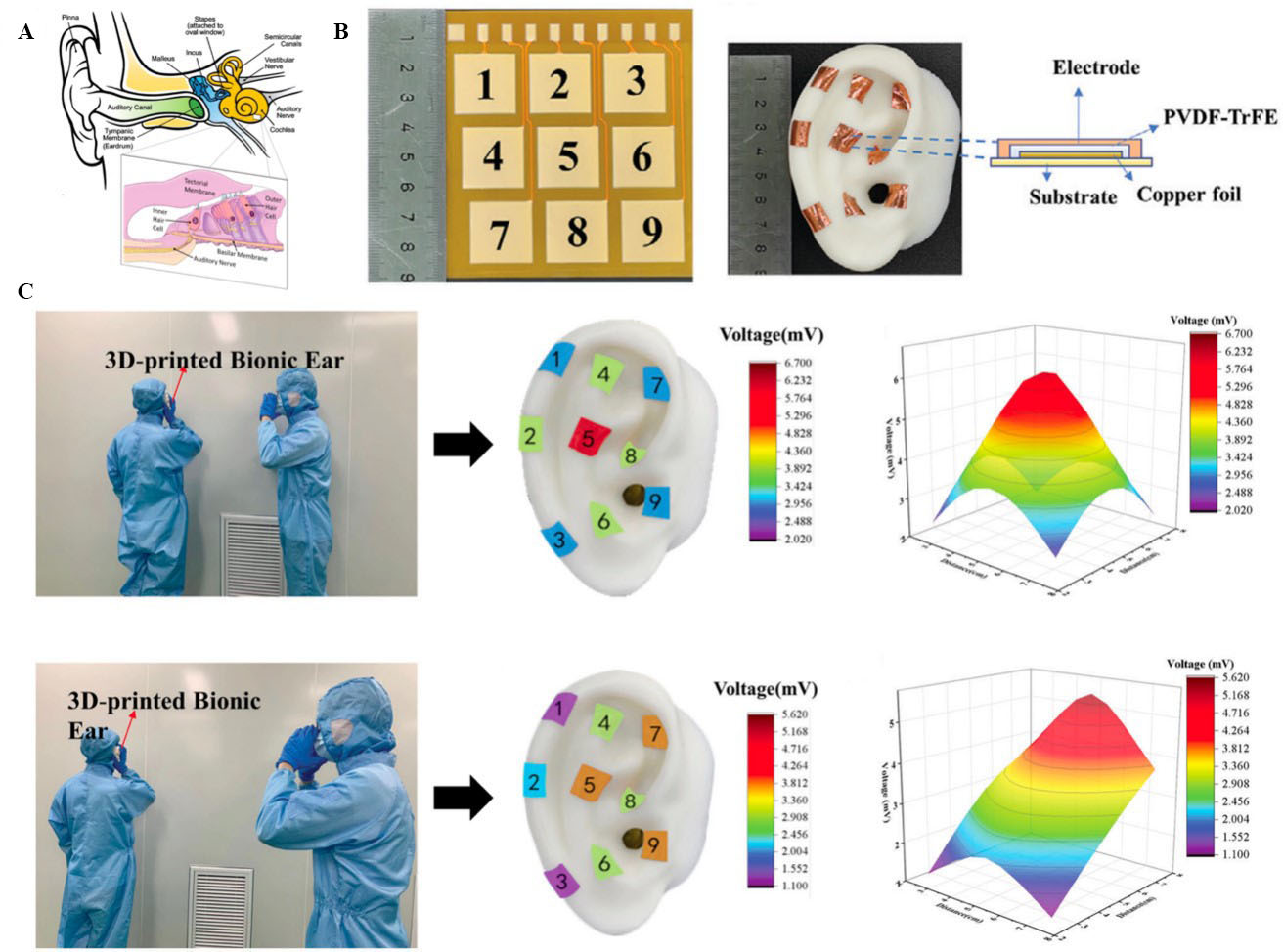 Bioreceptor-inspired soft sensor arrays: recent progress towards advancing digital healthcare