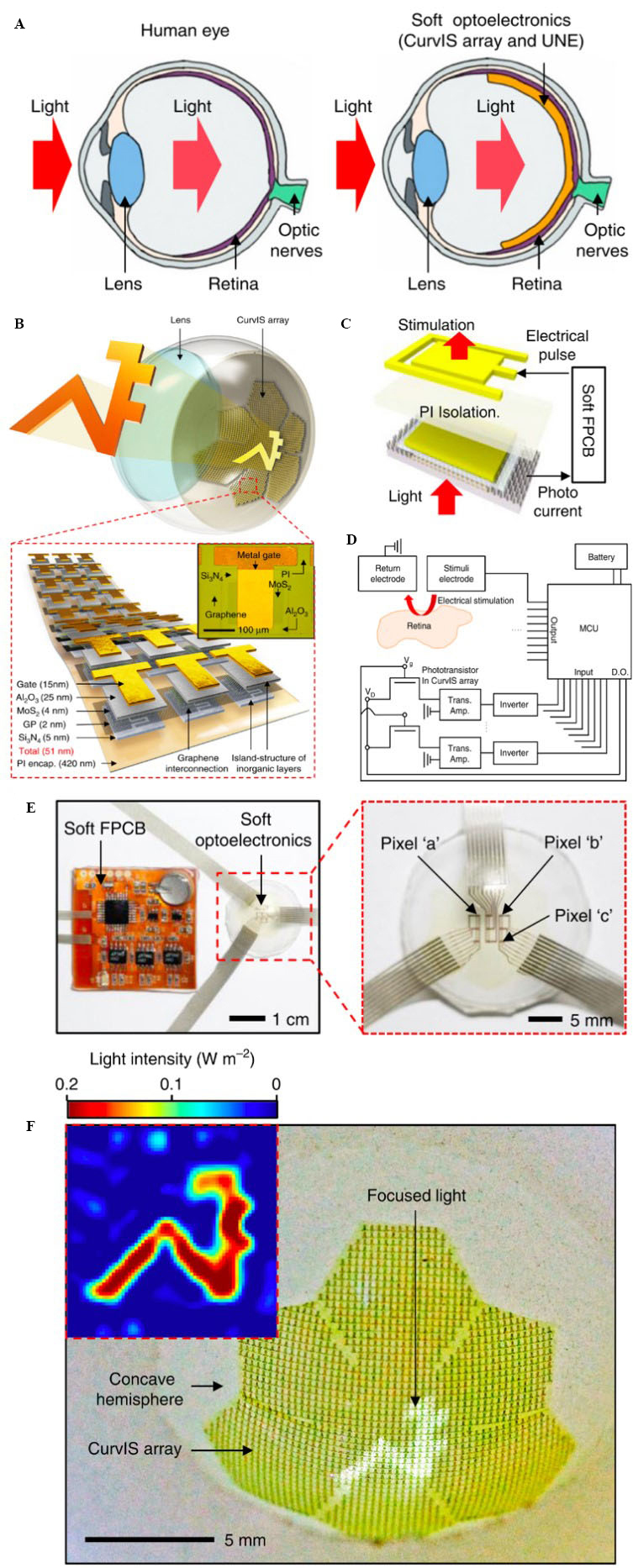 Bioreceptor-inspired soft sensor arrays: recent progress towards advancing digital healthcare