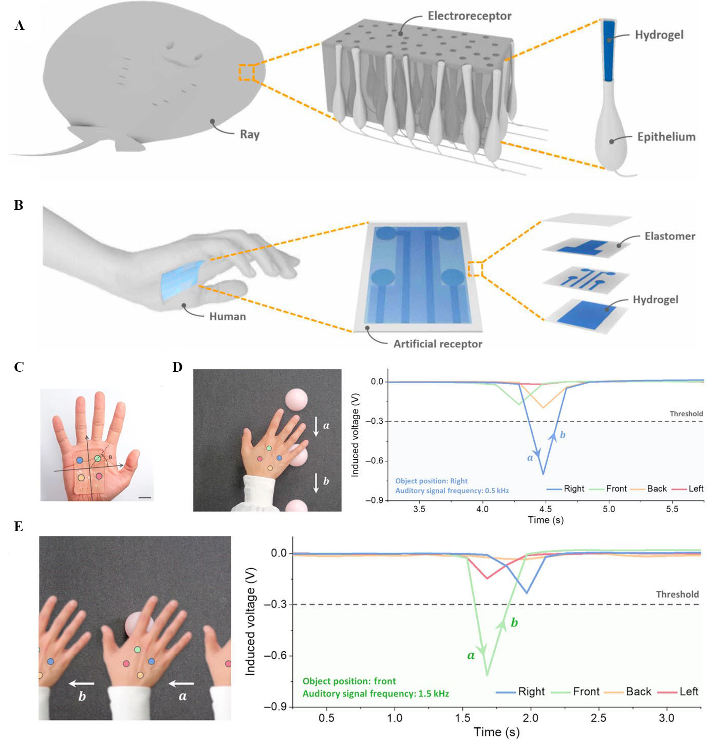 Bioreceptor-inspired soft sensor arrays: recent progress towards advancing digital healthcare