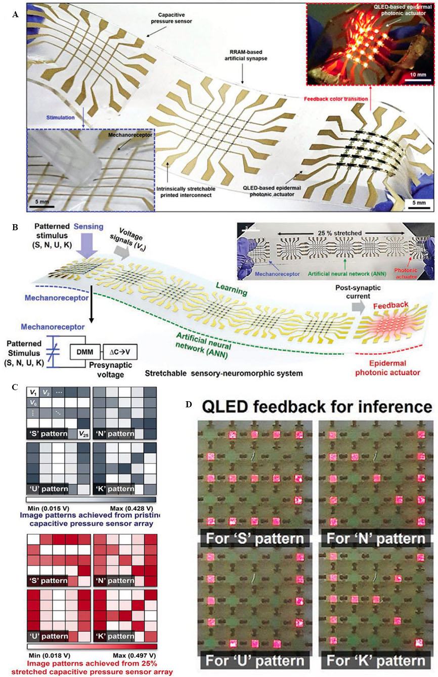 Bioreceptor-inspired soft sensor arrays: recent progress towards advancing digital healthcare
