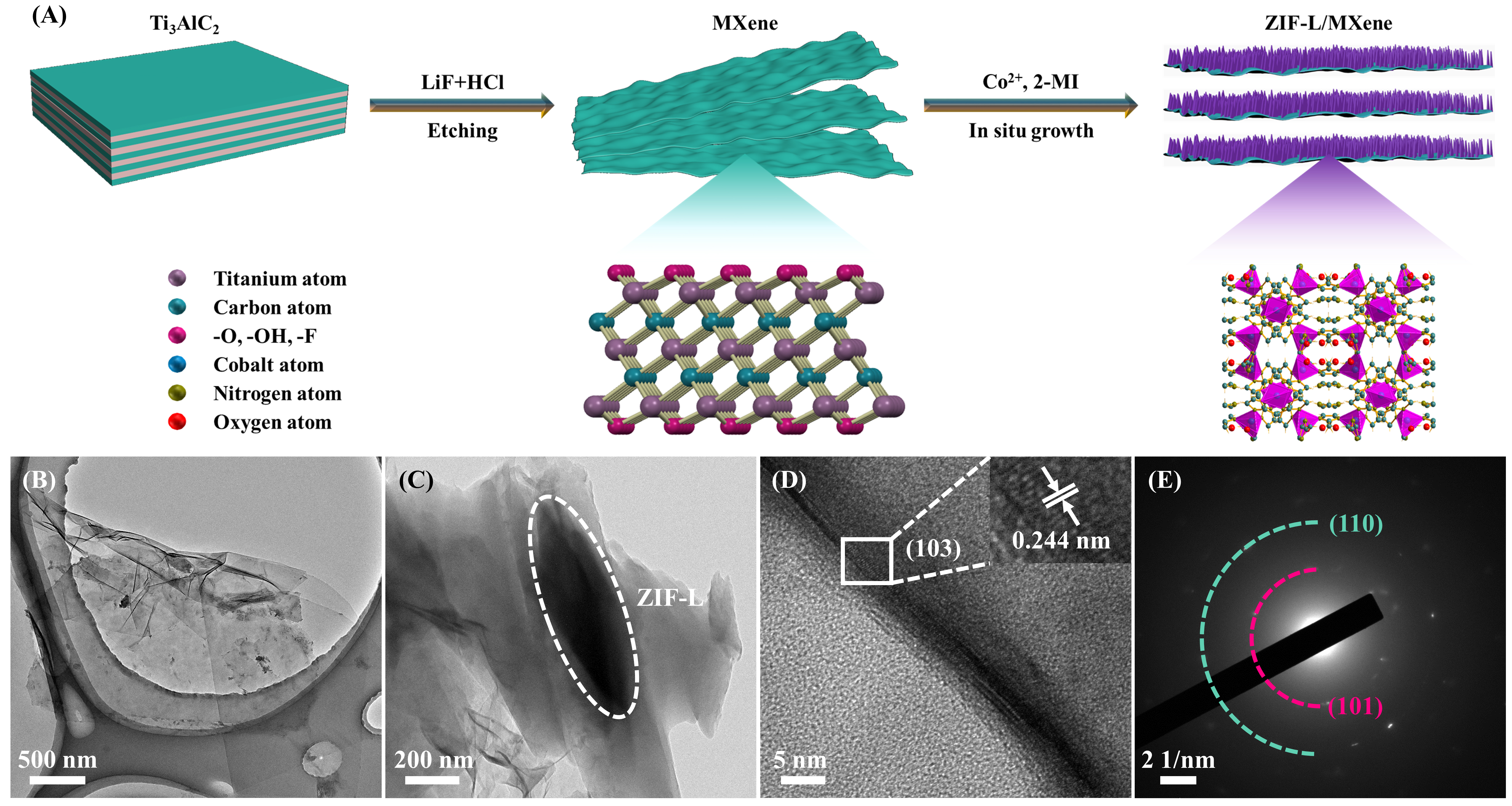 Active sites-rich zeolitic imidazolate framework/MXene heterostructure modified separator with improved Li<sup>+</sup> transport for high-performance Li-S batteries