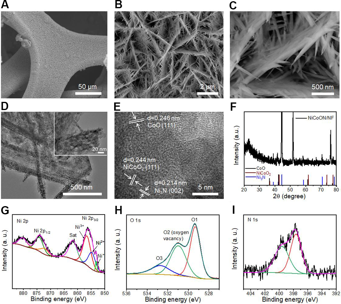 Hierarchical Ni- and Co-based oxynitride nanoarrays with superior lithiophilicity for high-performance lithium metal anodes