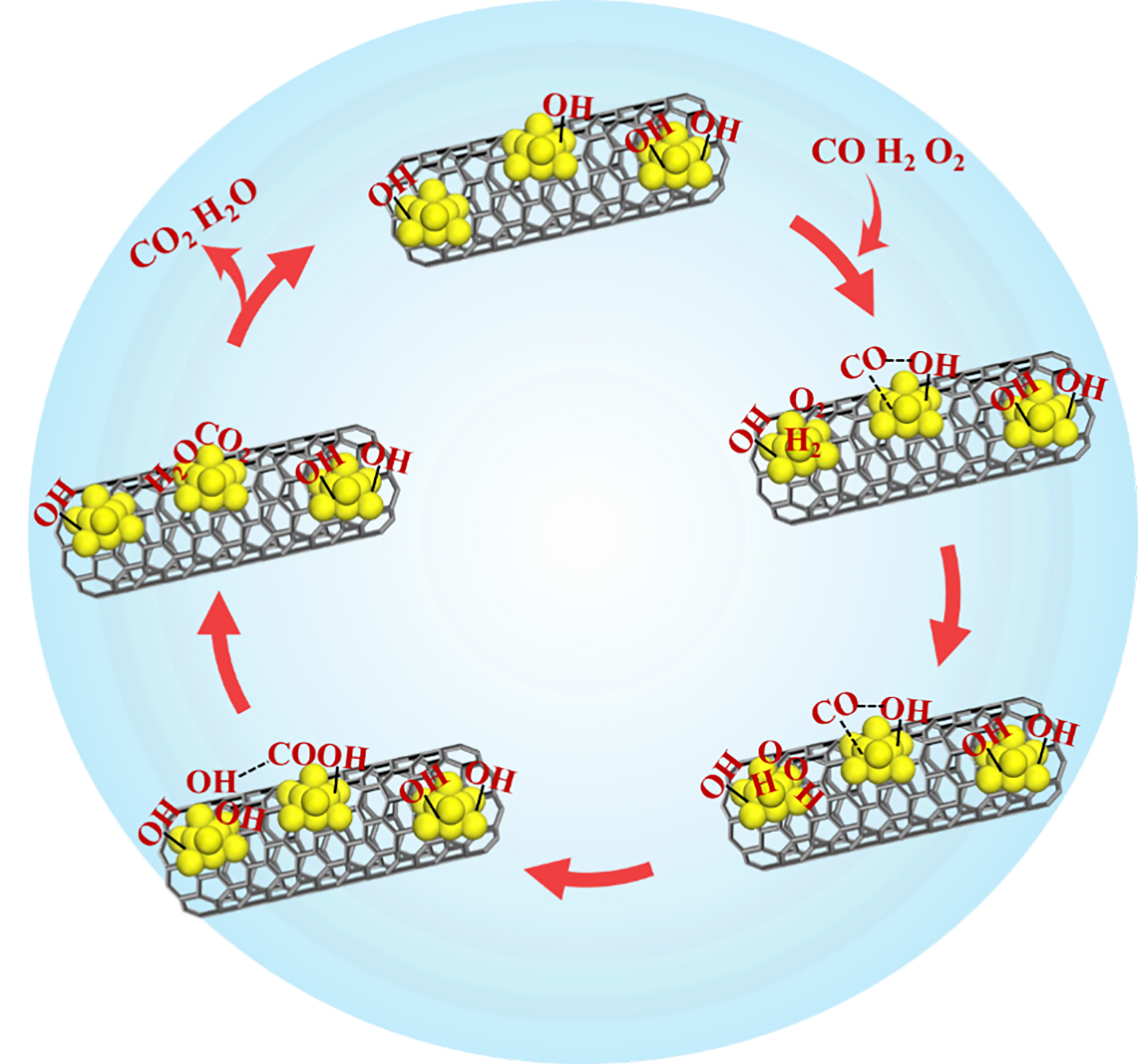 The synergistic effects of Pt-OH and Pt<sup>0</sup> enhanced the low-temperature catalytic performance of Pt/CNTs for preferential CO oxidation in a H<sub>2</sub> stream