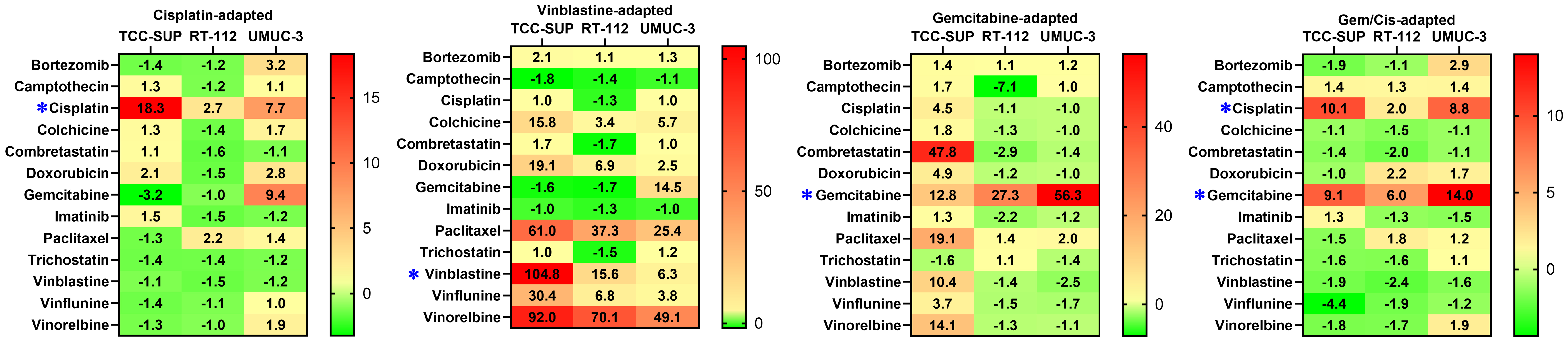 Distinct adaptive strategies to cisplatin, vinblastine and gemcitabine in a panel of chemoresistant bladder cancer cell lines