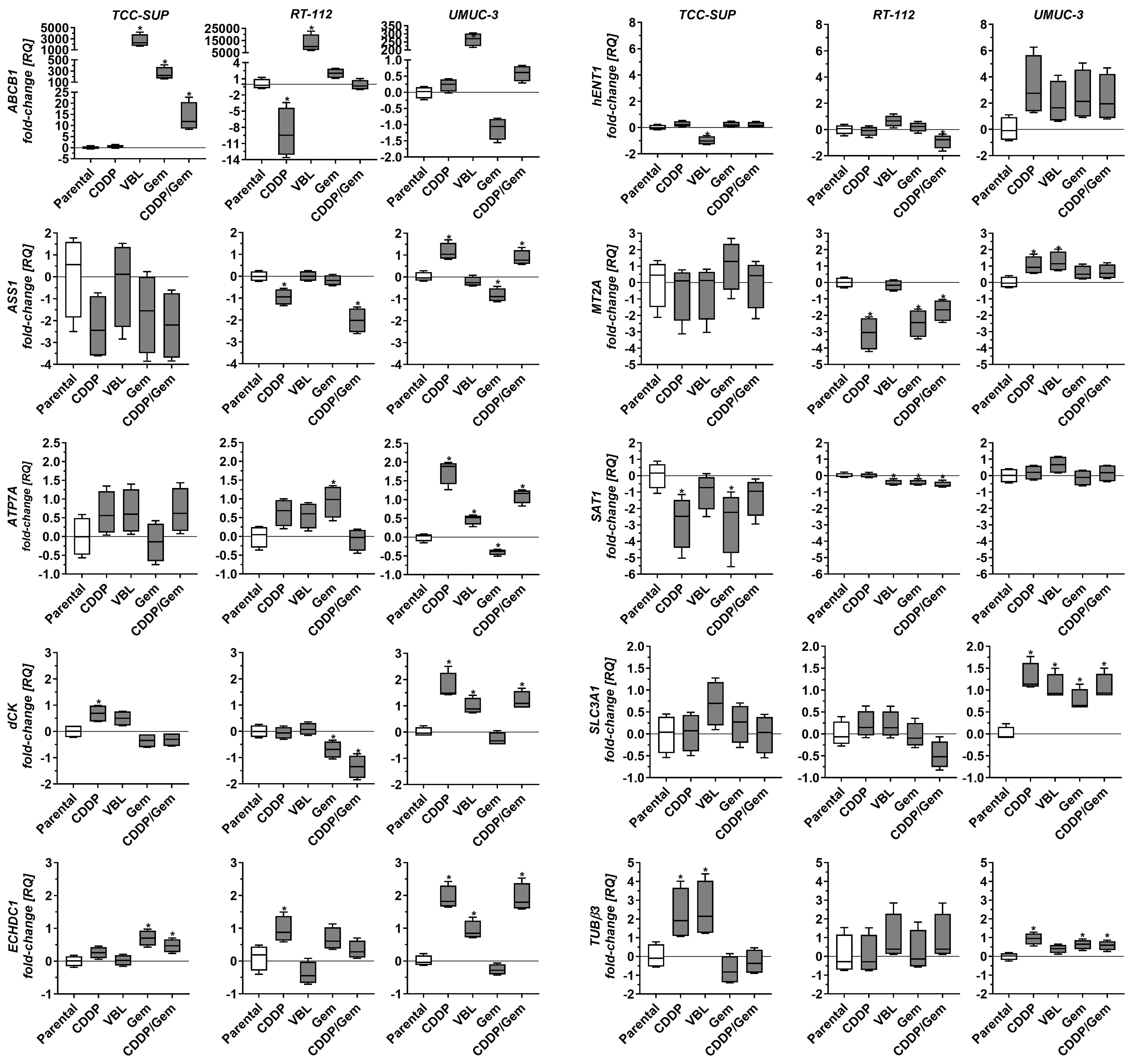 Distinct adaptive strategies to cisplatin, vinblastine and gemcitabine in a panel of chemoresistant bladder cancer cell lines