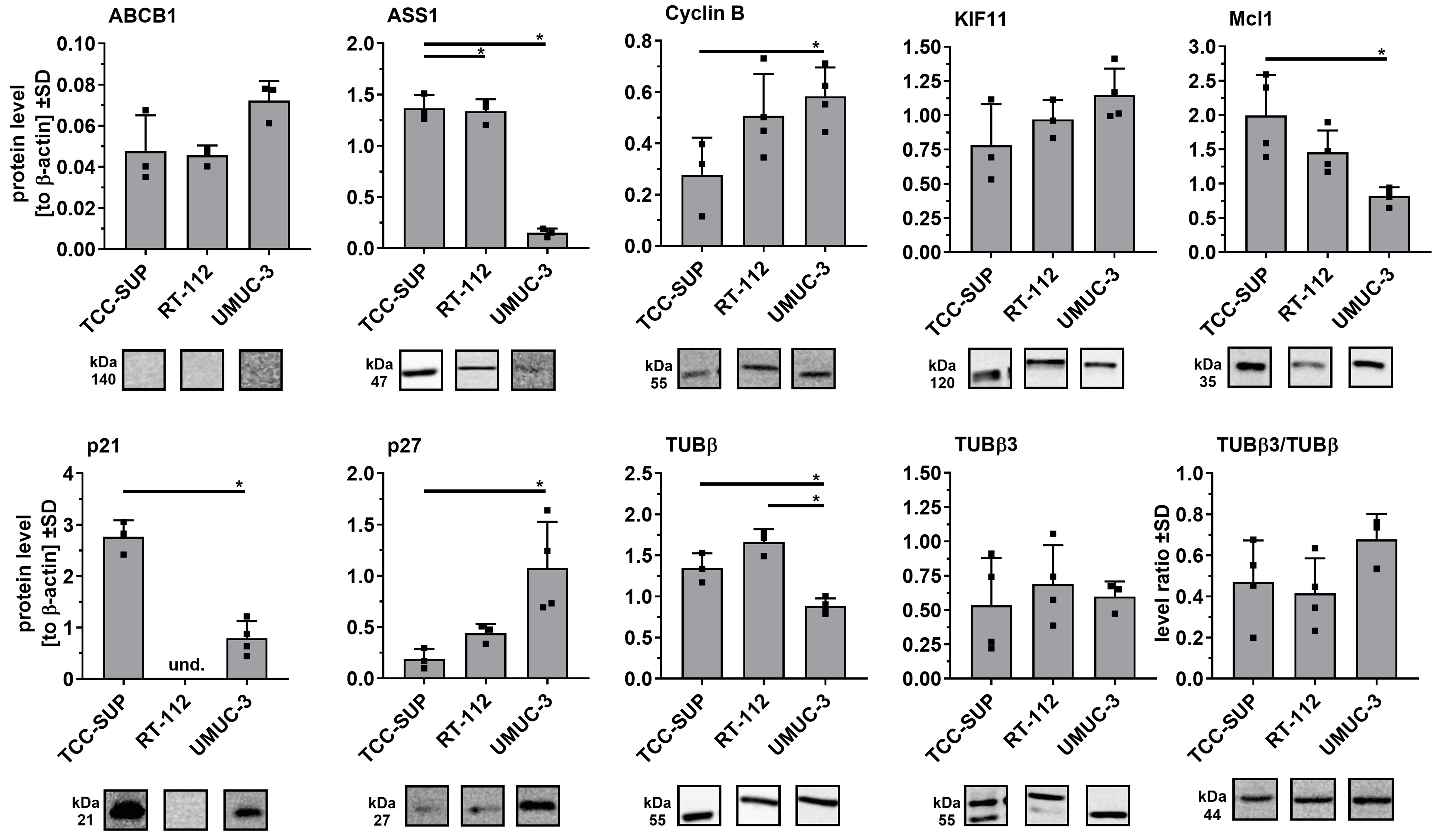 Distinct adaptive strategies to cisplatin, vinblastine and gemcitabine in a panel of chemoresistant bladder cancer cell lines